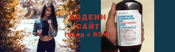 прущие грибы Лабытнанги