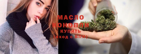 винт Лагань