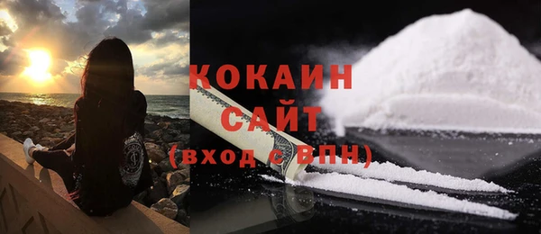 винт Лагань