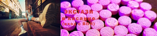 прущие грибы Лабытнанги