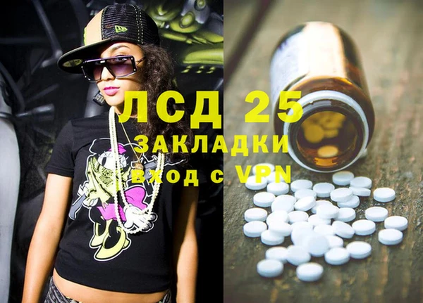 винт Лагань