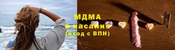 прущие грибы Лабытнанги