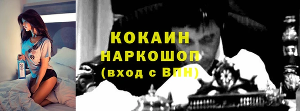прущие грибы Лабытнанги