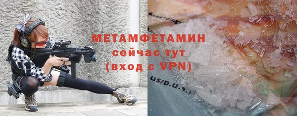 прущие грибы Лабытнанги