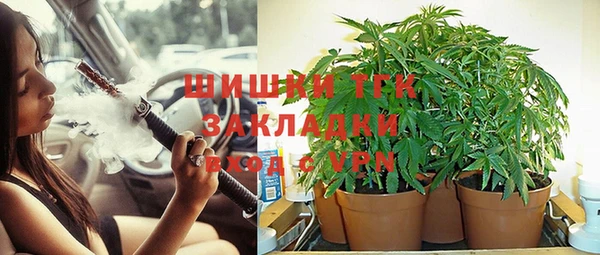 винт Лагань
