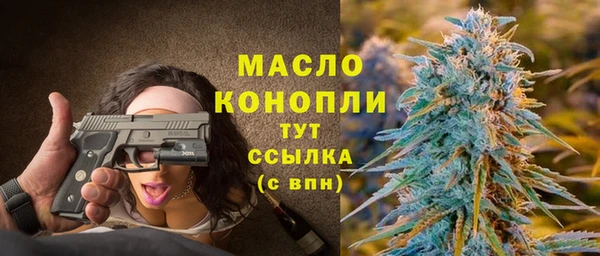 винт Лагань