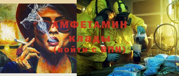 прущие грибы Лабытнанги