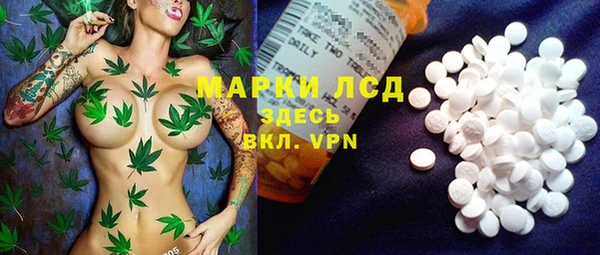 винт Лагань