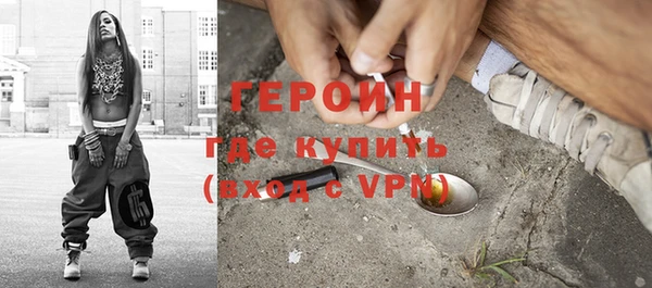 прущие грибы Лабытнанги
