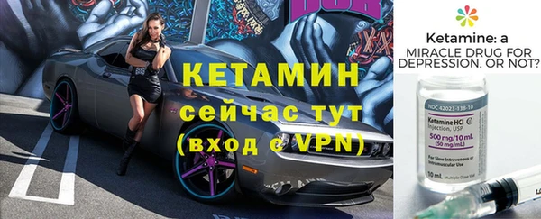 прущие грибы Лабытнанги