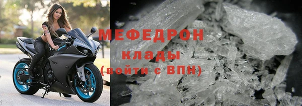 прущие грибы Лабытнанги
