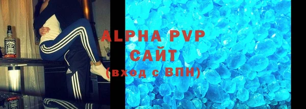 прущие грибы Лабытнанги