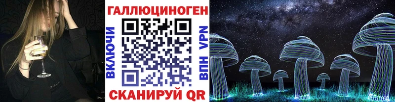 Купить  Шиханы  Псилоцибиновые грибы Psilocybe 